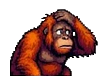 Ove Orangutang